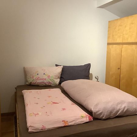 Ferienwohnung Apartment Doppelzimmer In Der Villa Naturpark Rheinblick, Ruhig, Aussicht, Pool 코블렌츠 외부 사진