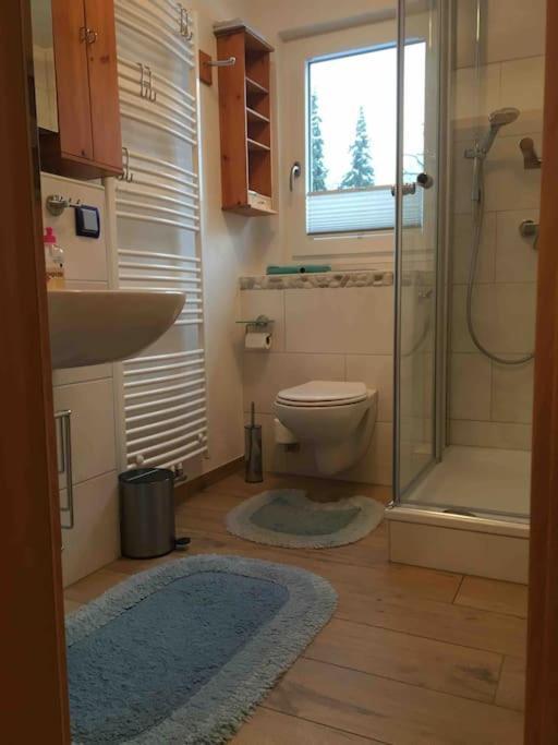Ferienwohnung Apartment Doppelzimmer In Der Villa Naturpark Rheinblick, Ruhig, Aussicht, Pool 코블렌츠 외부 사진